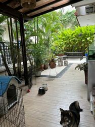 Mera Gardens (D23), Detached #521376291